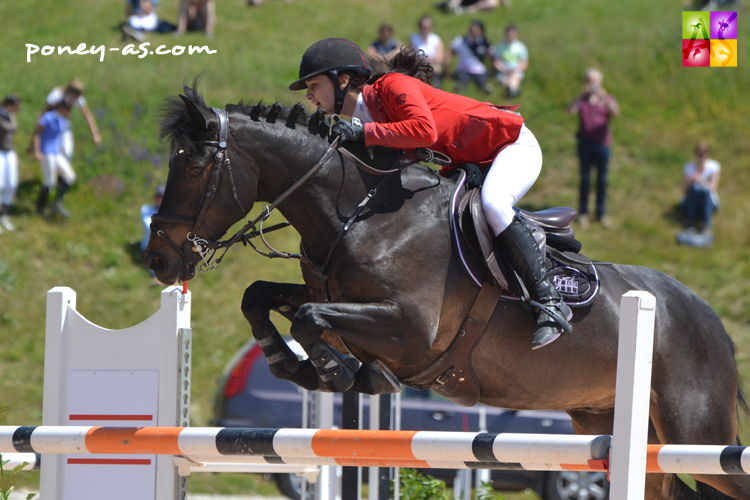poney d a louer cso