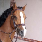HorsPair