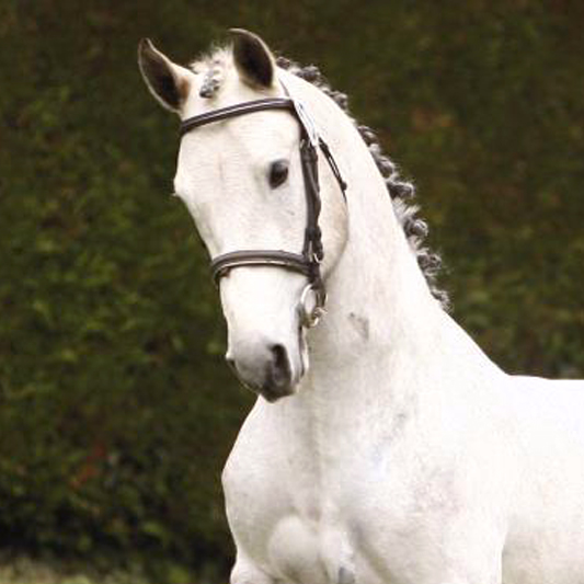 Un Eté au Ponthouar Un Eté au Ponthouar