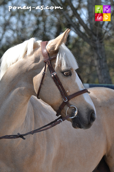 L%C3%A9talon-Rosco-de-Bellefond-ph.-Pauline-Bernuchon.jpg