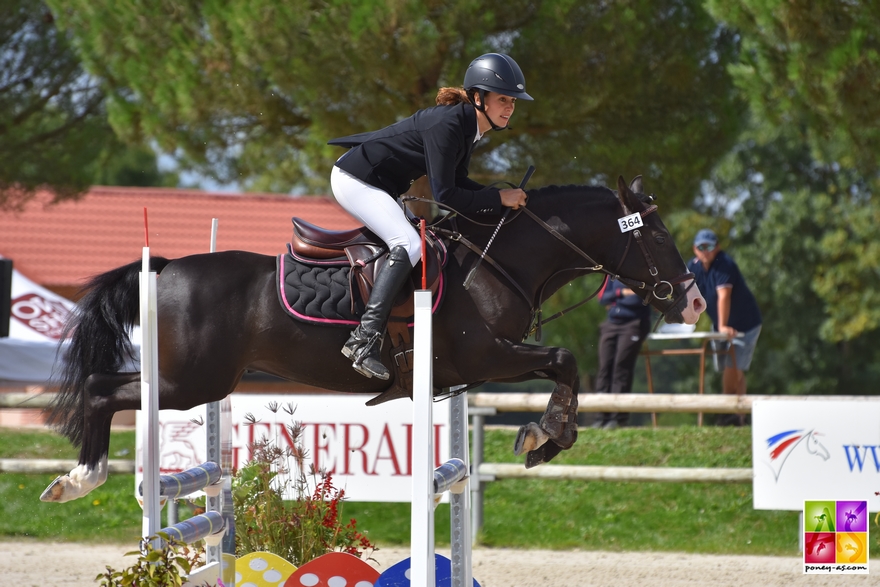 Etalon Poney Sport As 2018
