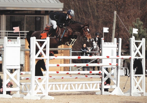 Etalon Poney Sport As 2018