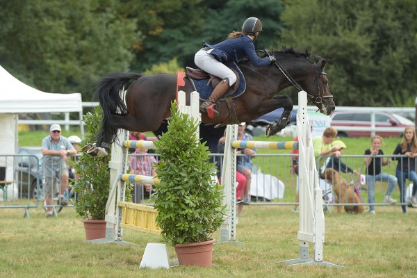 Etalon Poney Sport As 2018