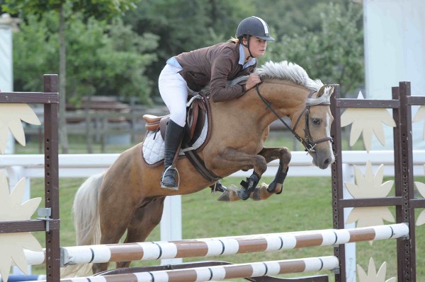 Poney as étalon sport 2018