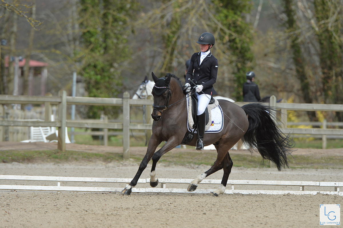 Orchard NL*Poney As - ph. Les Garennes