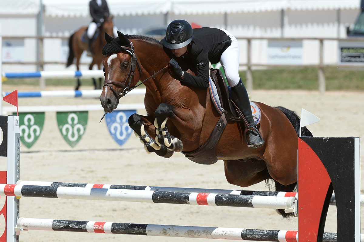 Ugo des Clas*Dorcamp - ph. Jean-Louis Perrier