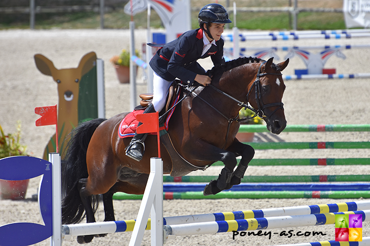 Vaguely Noble d'Haryns - ph. Poney As