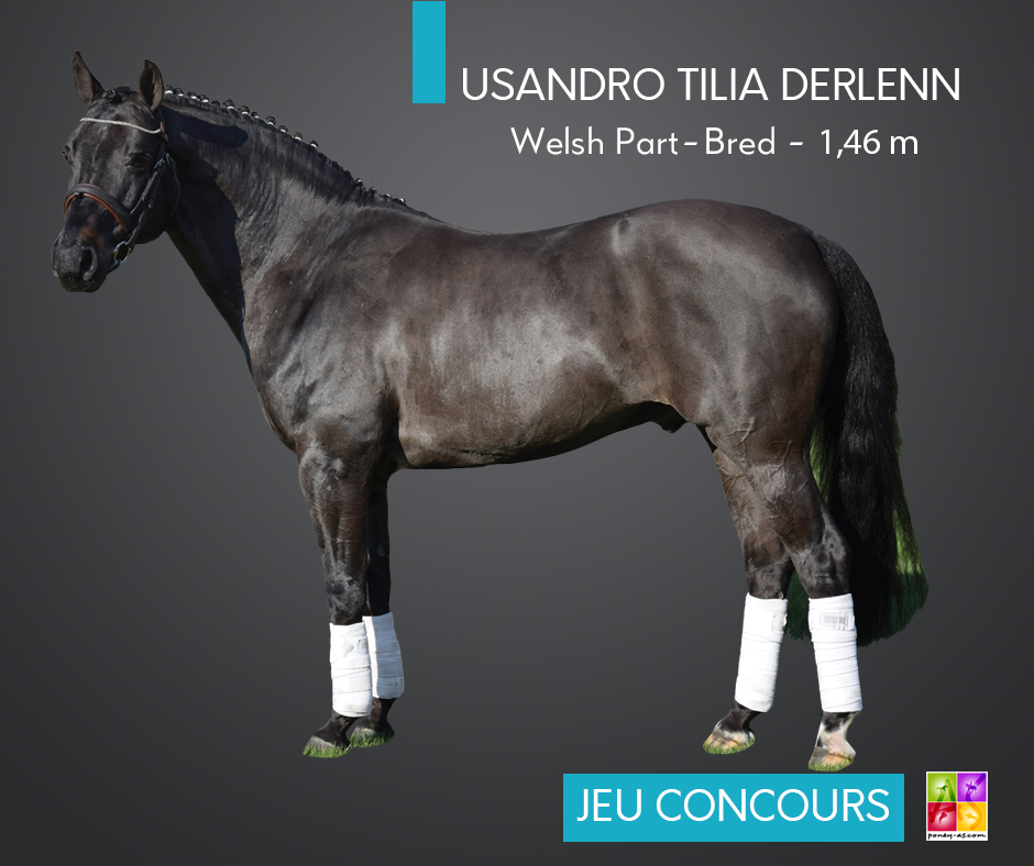 Usandro Tilia Derlenn