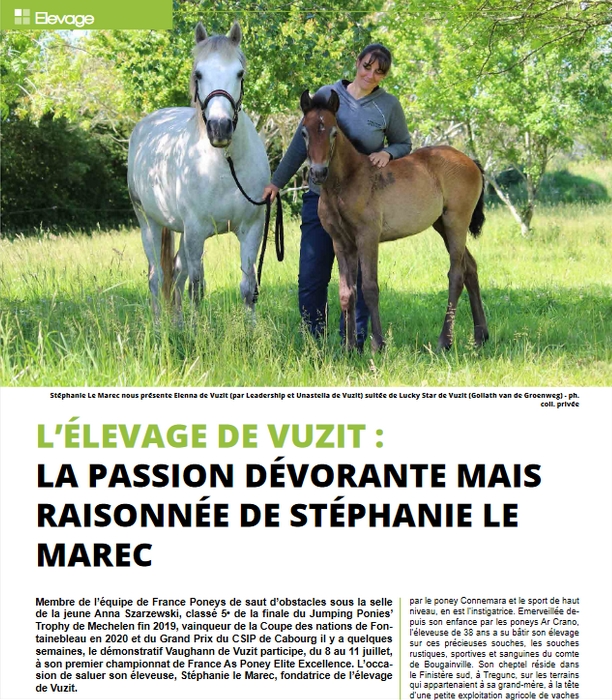 Extrait du Magazine Poney As