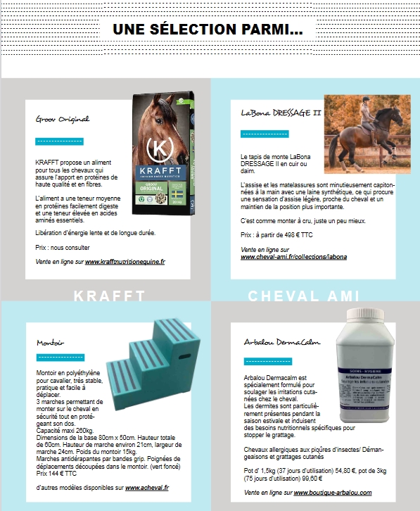 Extrait du Magazine Poney As
