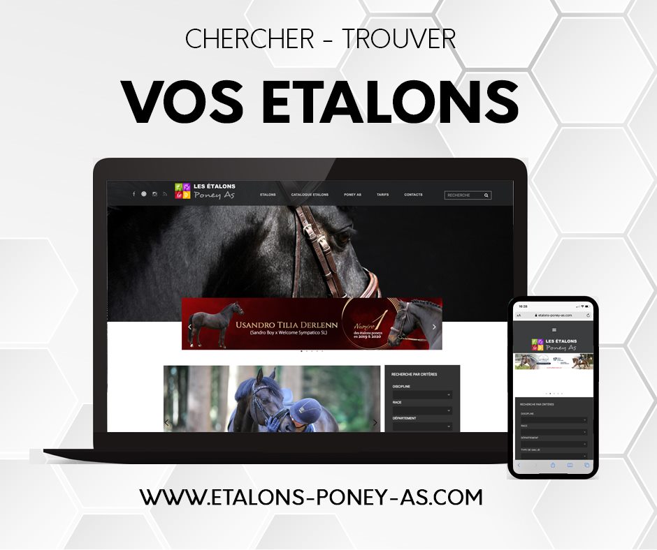 Retrouvez tous les étalons sur la plateforme https://www.etalons-poney-as.com