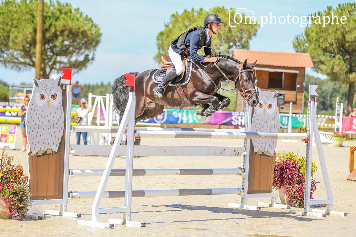 Poneys A Vendre A Louer A Confier Poney As