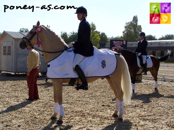 Golden Champion, monté par Sarah Magnusson, est le nouveau champion des 5 ans, photo Pauline Bernuchon Golden Champion, monté par Sarah Magnusson, est le nouveau champion des 5 ans, photo Pauline Bernuchon