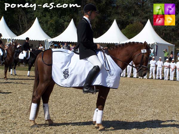 Le champion des 4 ans, Quilebo d’Angrie, sous la selle de Yannick Moreau, photo Pauline BernuchonLe champion des 4 ans, Quilebo d’Angrie, sous la selle de Yannick Moreau, photo Pauline Bernuchon Le champion des 4 ans, Quilebo d’Angrie, sous la selle de Yannick Moreau, photo Pauline Bernuchon
