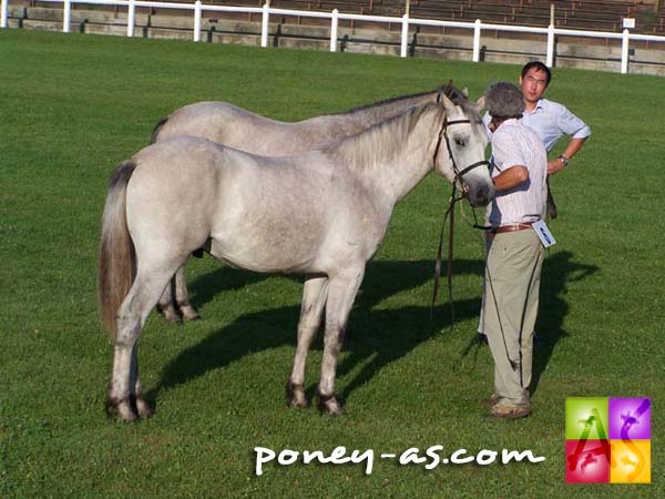 Tictac Tic Tac Mélody (Cocum Thunder Boy x Apollon Pondi), photo Pauline Bernuchon