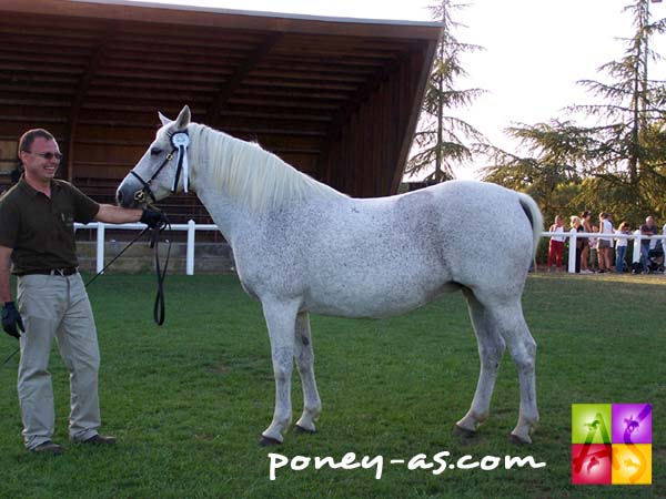 Diane Diane de Bezolle (Lord Ravary x Mor Ven Storm), photo Pauline Bernuchon