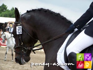 Mon Nantano de Florys SL, photo Pauline Bernuchon