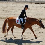 Louisa Lüttgen (GER) et Dornik B décrochent 2 médailles d'or en Dressage lors des championnats d'Europe 2007 de Freudenberg - ph. Camille Kirmann