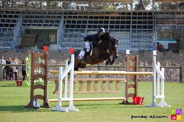 Baptiste Lecomte (FRA) et Anydale Ron SL - ph. Camille Kirmann Baptiste Lecomte (FRA) et Anydale Ron SL - ph. Camille Kirmann
