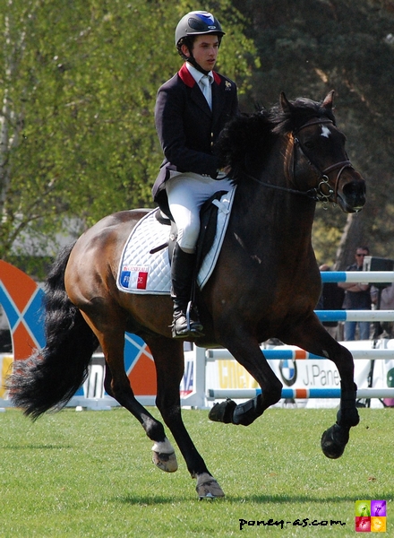 Baptiste Lecomte (FRA) et Anydale Ron SL - ph. Camille Kirmann Baptiste Lecomte (FRA) et Anydale Ron SL - ph. Camille Kirmann