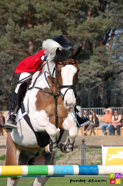 Justine Tebbel (GER) et Okehurst Little Bow Wow - ph. Camille Kirmann Justine Tebbel (GER) et Okehurst Little Bow Wow - ph. Camille Kirmann