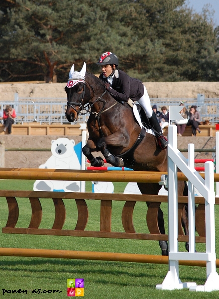 Thomas Nussbaumer (SUI) et Clogherboy Mirah - ph. Camille Kirmann Thomas Nussbaumer (SUI) et Clogherboy Mirah - ph. Camille Kirmann