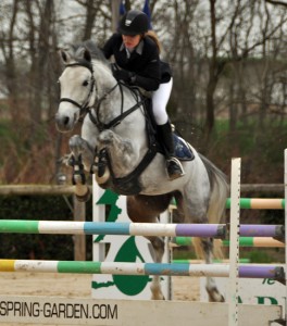 Afficher l’image source