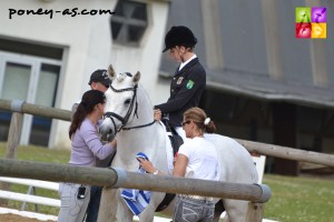 La team Michels entoure l'étalon Dein Freund - ph. Pauline Bernuchon