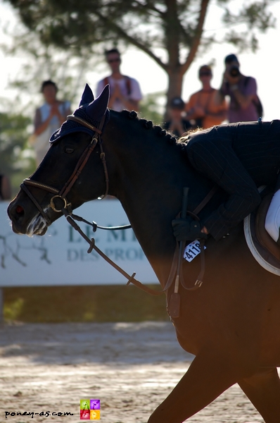 Câlin de champions... - ph. Camille Kirmann Câlin de champions... - ph. Camille Kirmann