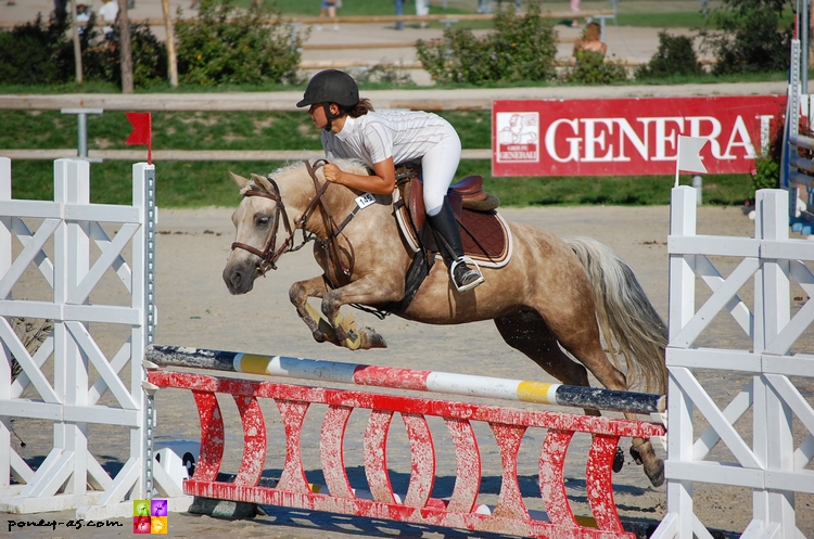 Sirene de Grossetiere (Pfs, f, par Duc de Loulay, Wtc et Brize des Retz, Da par White Willows Darwin) / Sophie Maurocordato - ph. Camille Kirmann Sirene de Grossetiere (Pfs, f, par Duc de Loulay, Wtc et Brize des Retz, Da par White Willows Darwin) / Sophie Maurocordato - ph. Camille Kirmann