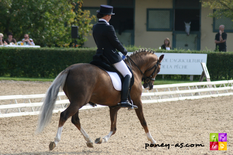 Champion Suprême d'Eté - ph. Anaïs Barbier Champion Suprême d'Eté - ph. Anaïs Barbier