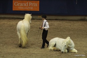 Pierre Fleuri et ses Highland - ph. Cécile Philippe