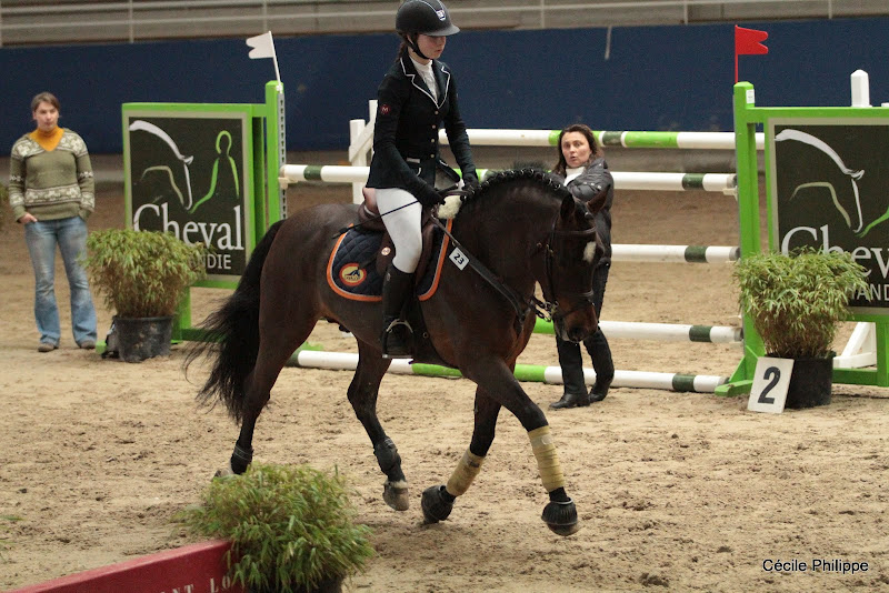 Moonlight Berenger (Poney français de selle, né en 2000, par Linaro SL Poet et Alysee du Saussey par Nightingle des ifs, Nf) : champion de France D1 Elite CSO, gagnant en As Excellence - ph. Cécile Philippe