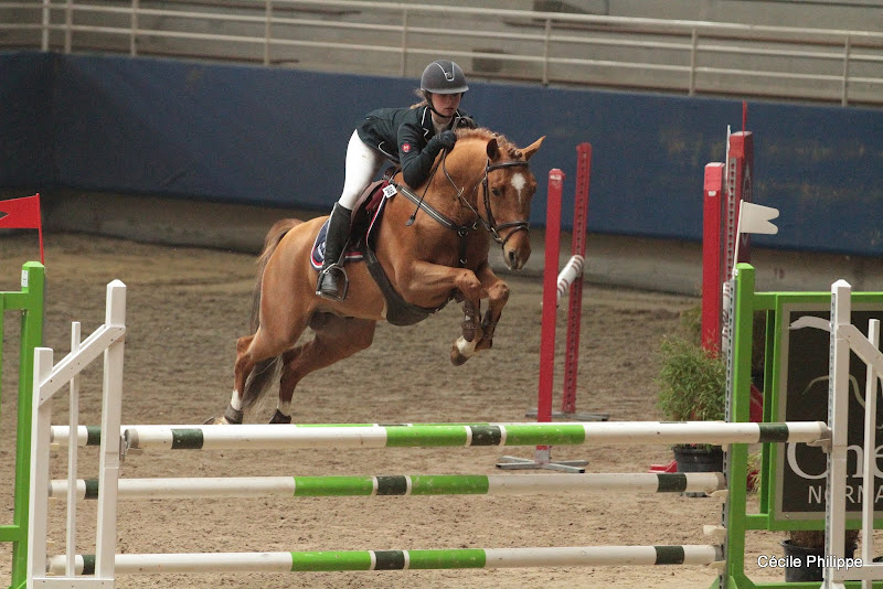 Taaron des Charmes (Poney français de selle, né en 2007, par Aron N SL, Drp et Demver par Quartz IV) - ph. Cécile Philippe