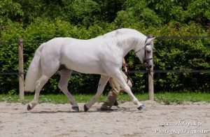 Currachmore Cashel - ph. EloOpiX