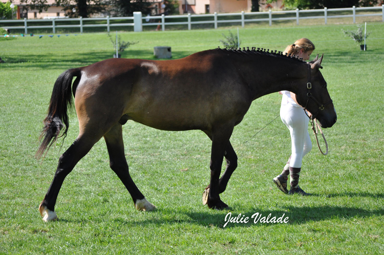 Uxan Cooper Red - ph. Julie Valade Uxan Cooper Red - ph. Julie Valade
