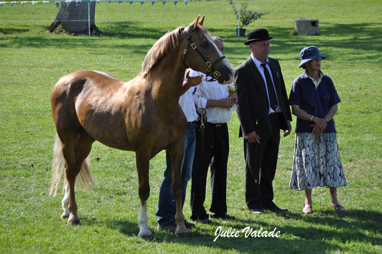 Meilleures allures : Sheepcotes Lucky Step - ph. Julie Valade Meilleures allures : Sheepcotes Lucky Step - ph. Julie Valade