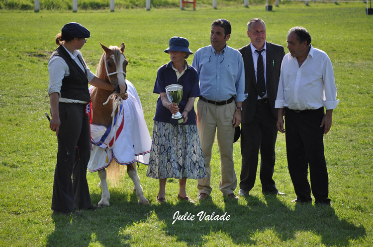 Champion suprême : Cheyenne - ph. Julie Valade Champion suprême : Cheyenne - ph. Julie Valade