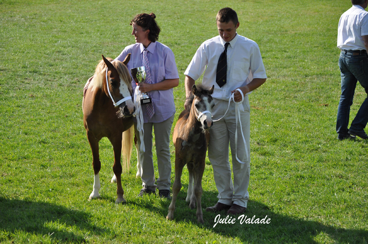 Plus belle tête : Friars Love in Gold - ph. Julie Valade Plus belle tête : Friars Love in Gold - ph. Julie Valade