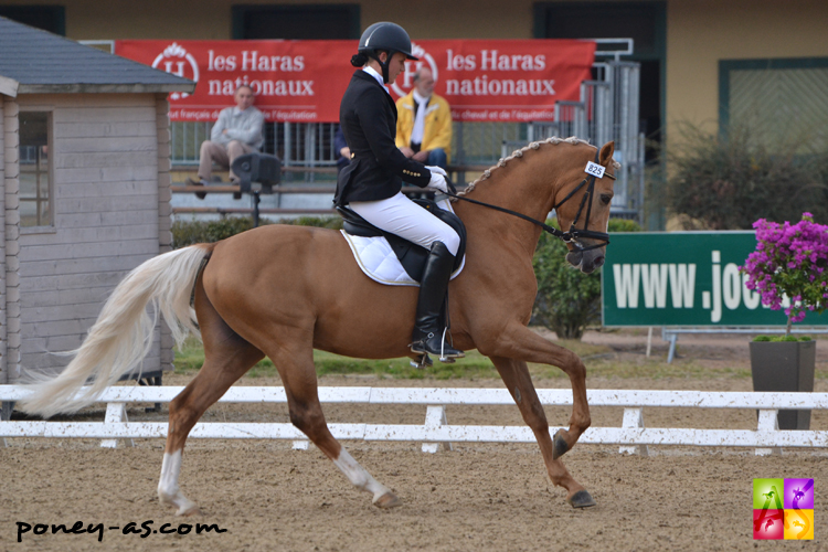 Champion des 5 ans : Champagner de Luxe - ph. Pauline Bernuchon