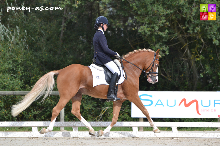 Champion des 6 ans : Djbouti YS - ph. Pauline Bernuchon
