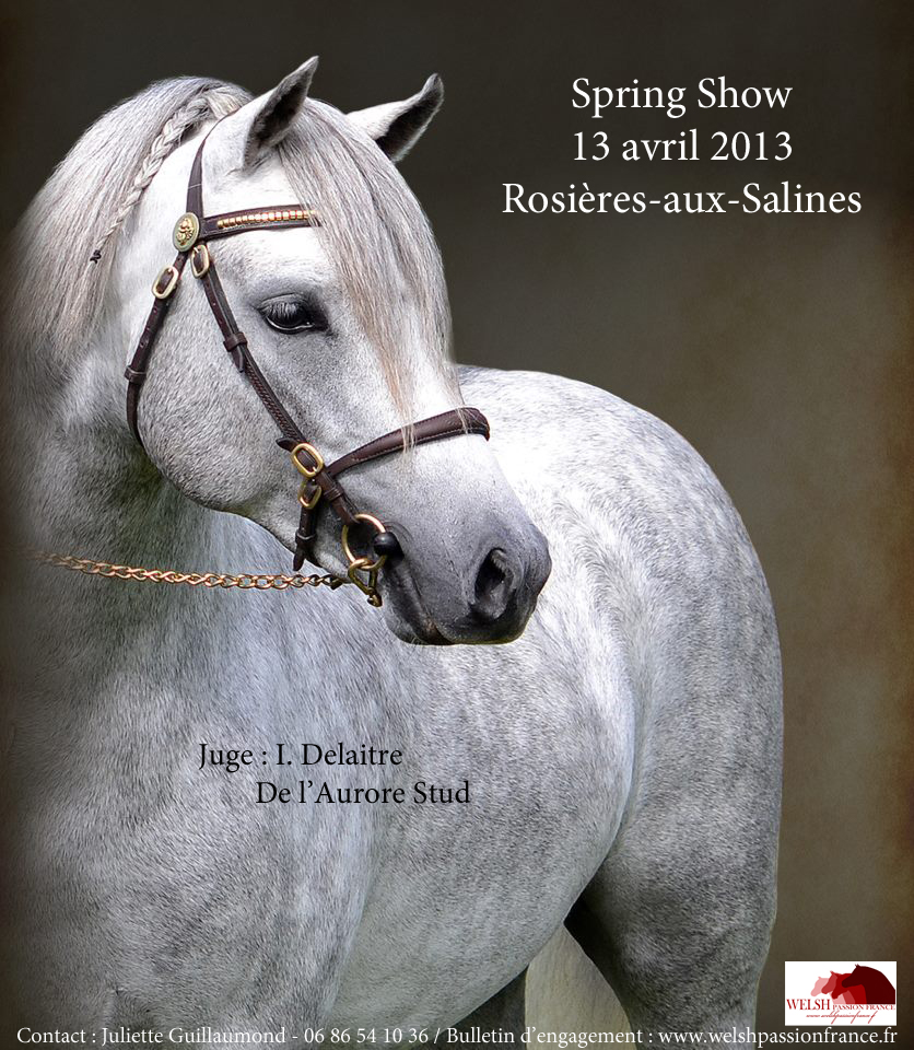 Spring Show Welsh - WPF Spring Show Welsh - WPF