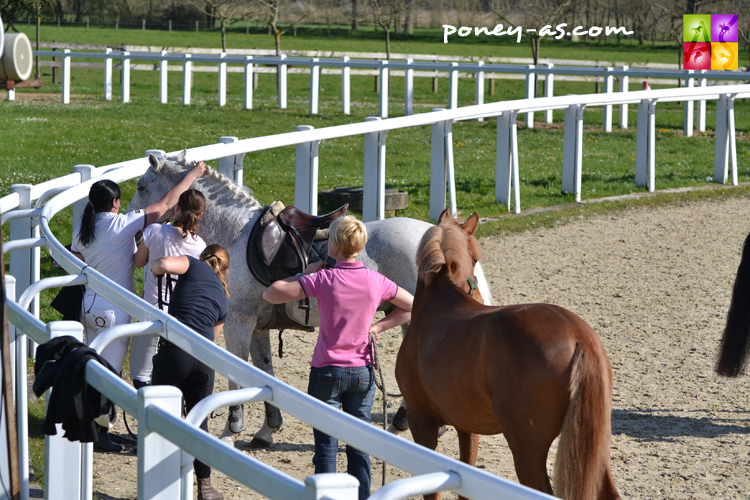 Ecuries Charlotte le Guern - ph. Pauline Bernuchon Ecuries Charlotte le Guern - ph. Pauline Bernuchon