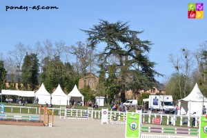 Le Haras du Isle Briand, Le Lion d'Angers - ph. Pauline Bernuchon