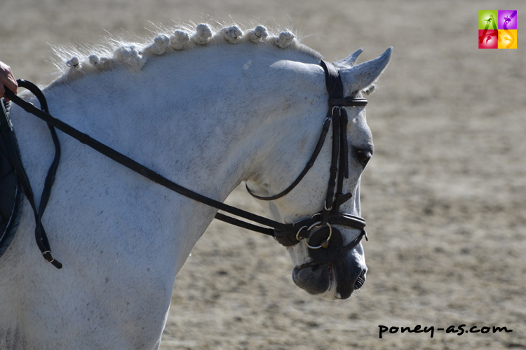 R'N'B Royal - ph. Pauline Bernuchon R'N'B Royal - ph. Pauline Bernuchon