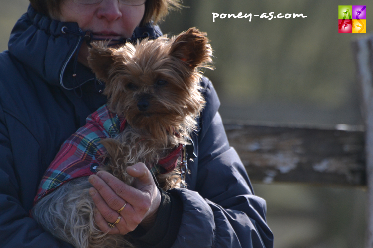 Vivement le soleil ! Ph. Pauline Bernuchon Vivement le soleil ! Ph. Pauline Bernuchon