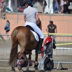 Clarissa et Diana au paddock - ph. Camille Kirmann