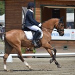 Capucine Molliex et PSW Desperado - ph. Camille Kirmann