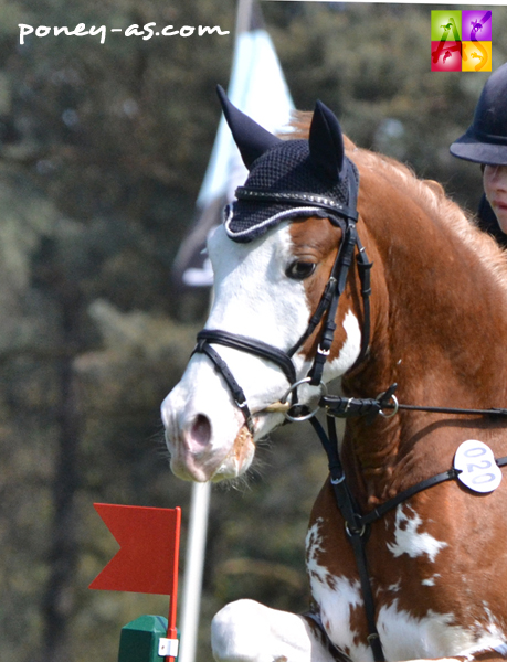 3e, Lea Ercken et Massaqua T ( Mentos Charmeur x Veto) - ph. Pauline Bernuchon