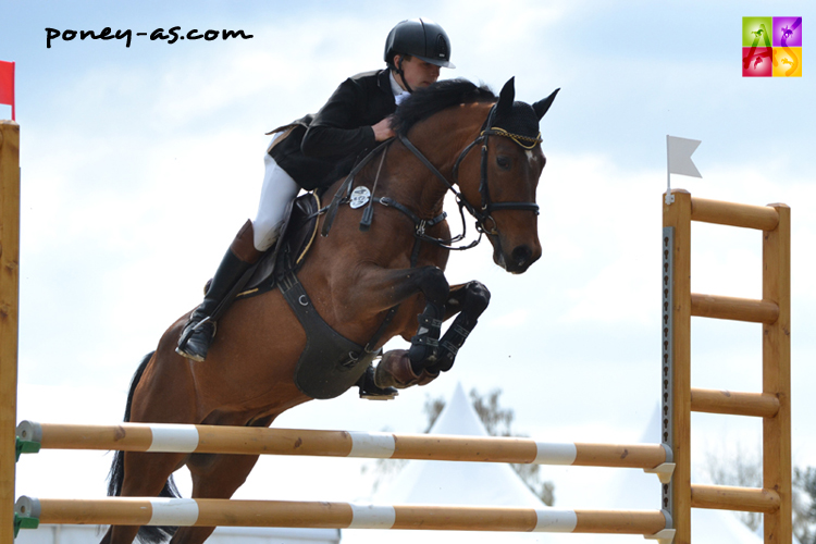 9e, Gerome Graefe et Bartez (ex Orchid's Bartez - Kantje's Carlando x Milton) - ph. Pauline Bernuchon